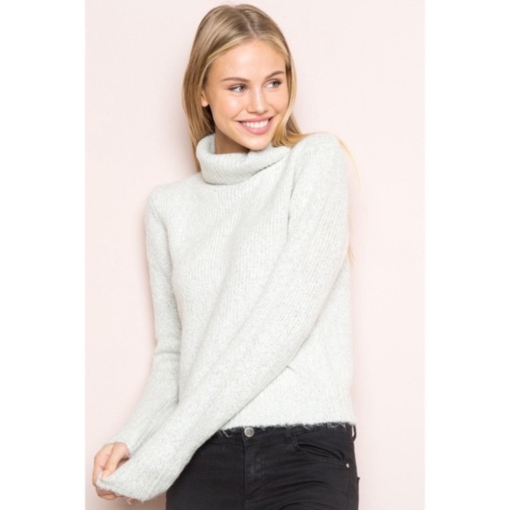 Brandy Melville Light Gray Turtle Neck Sweater